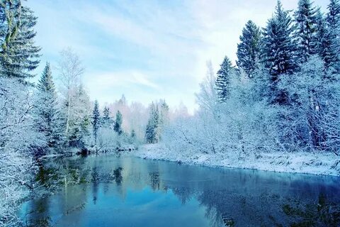Зимой рано