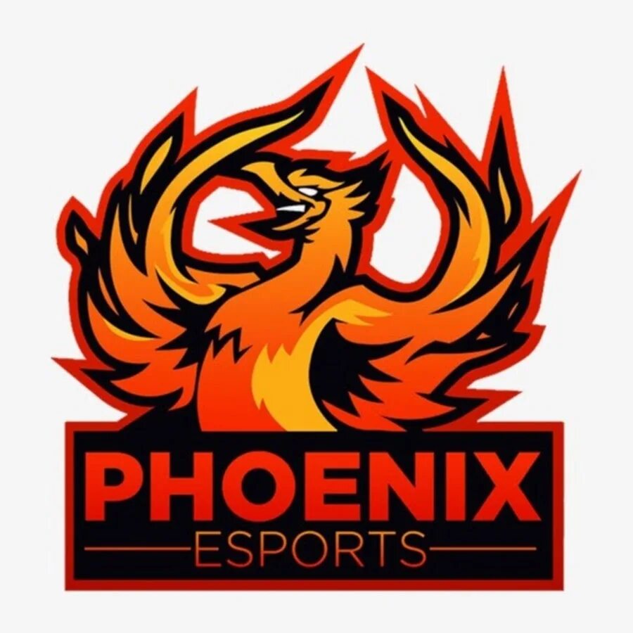 Phoenix forums
