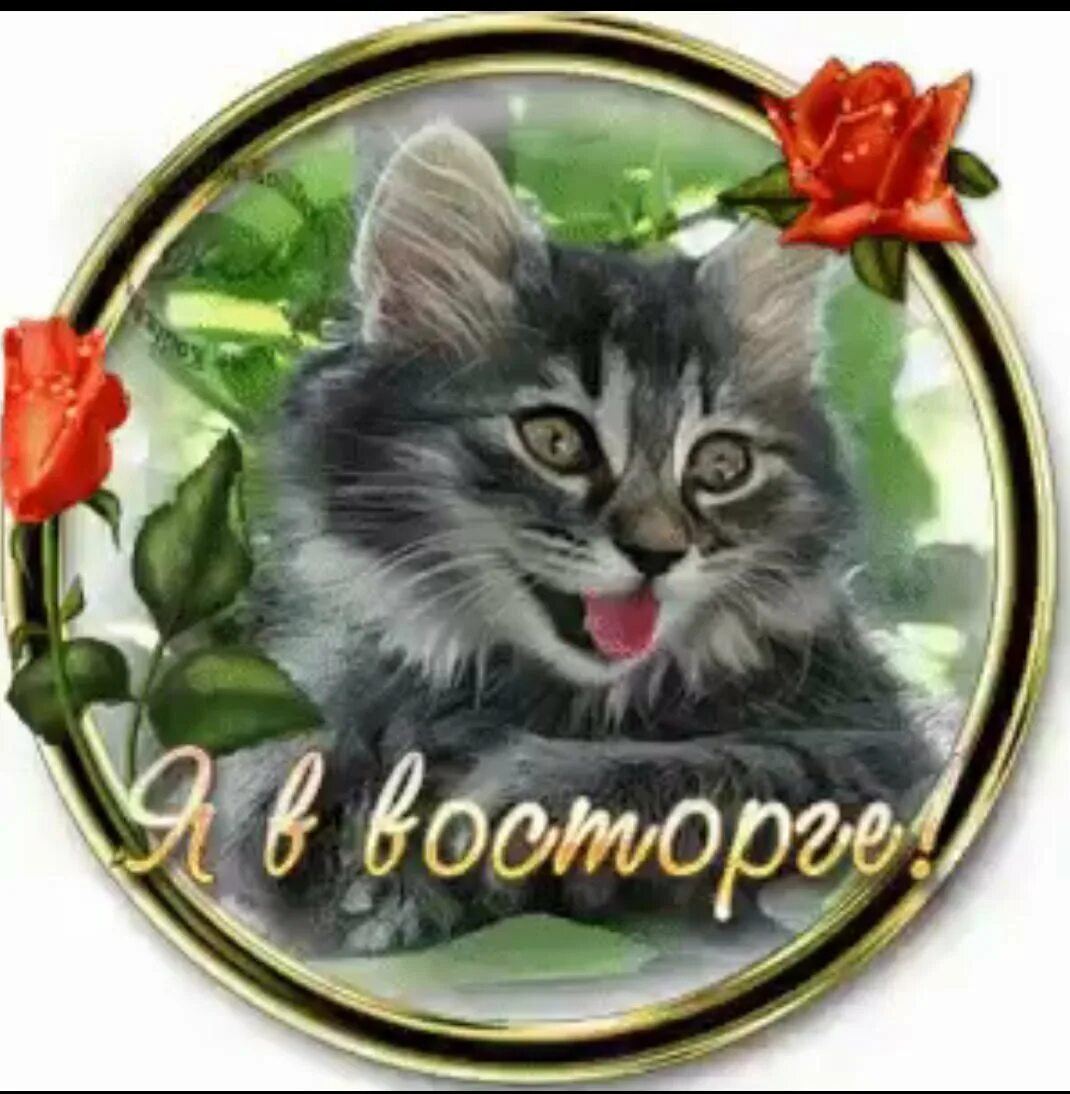 Очень нравится супер. Открытка очень классно. Великолепно надпись. Смайлик класс. Здорово классно.