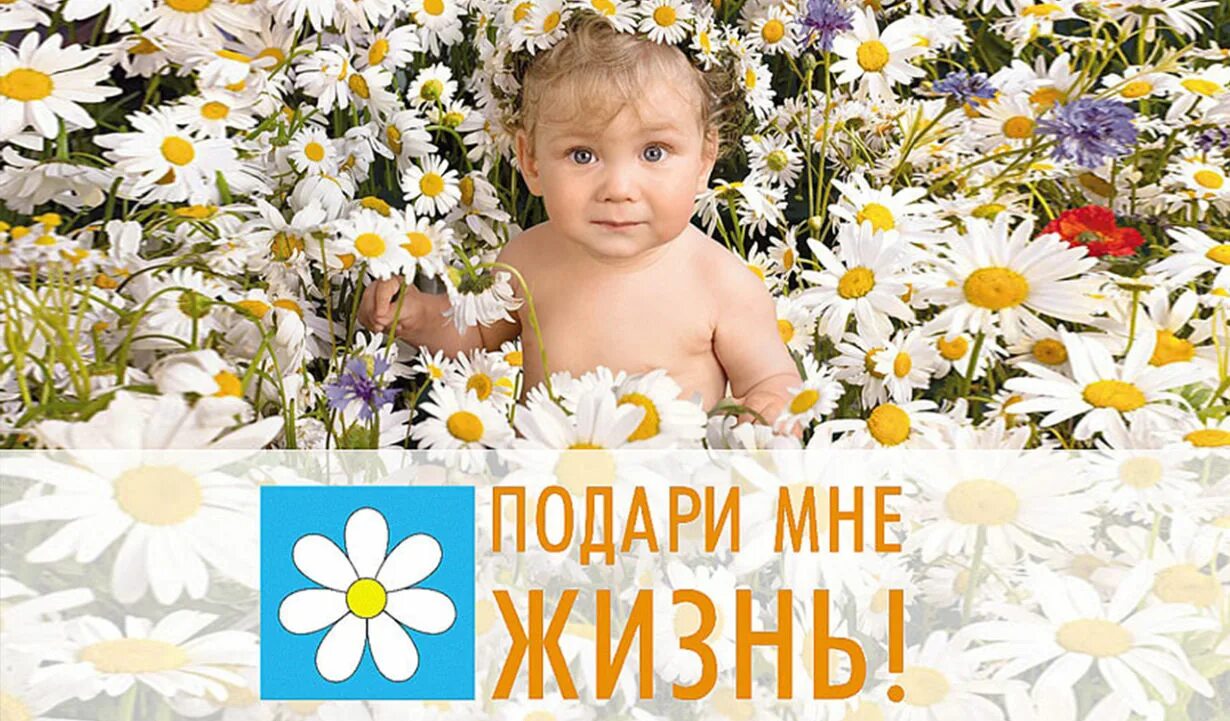 Мужчина дарит розы а не слезы. Влюбленные с ромашками. Подари мне первый цветок. Цветы в ладонях. Намек на цветы.