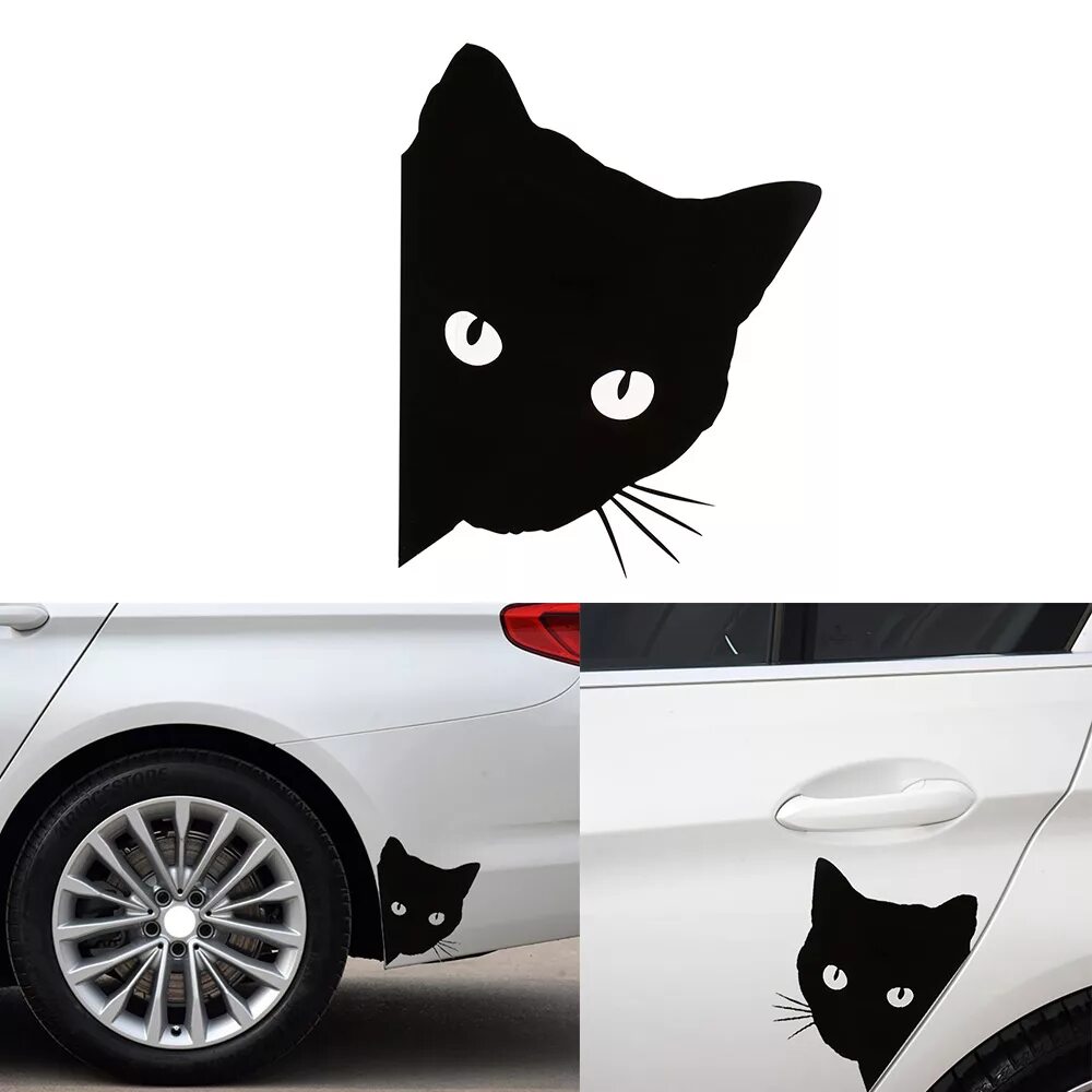 Black cat car