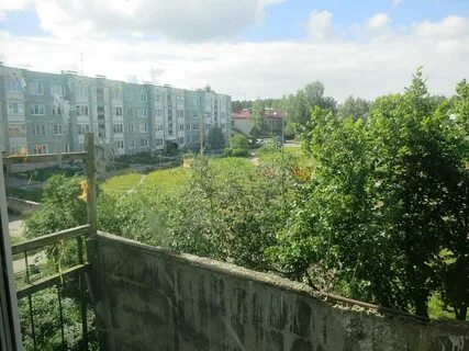 Погода плодовое