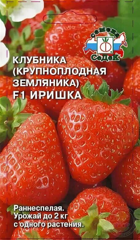 Совместные покупки Нижний Новгород Земляника Иришка F1 : Сибирский садовод С