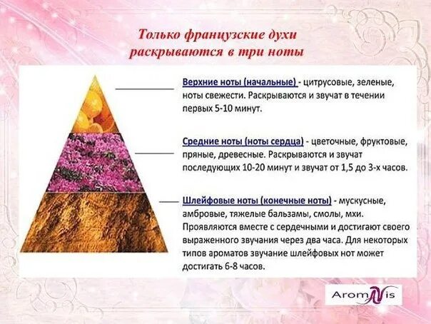 Верхние средние и базовые ноты аромата. Ноты в парфюмерии. ноты сердца в парфюмерии. пирамида аромата. пирамида раскрытия аромата.