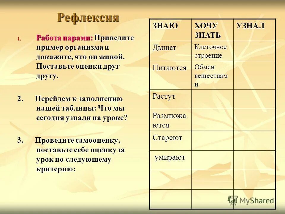 примеры отношений между 2 объектами. форма выполнения задания. приведу пару примеров:. приведите пару примеров. примеры морального долга из литературы.