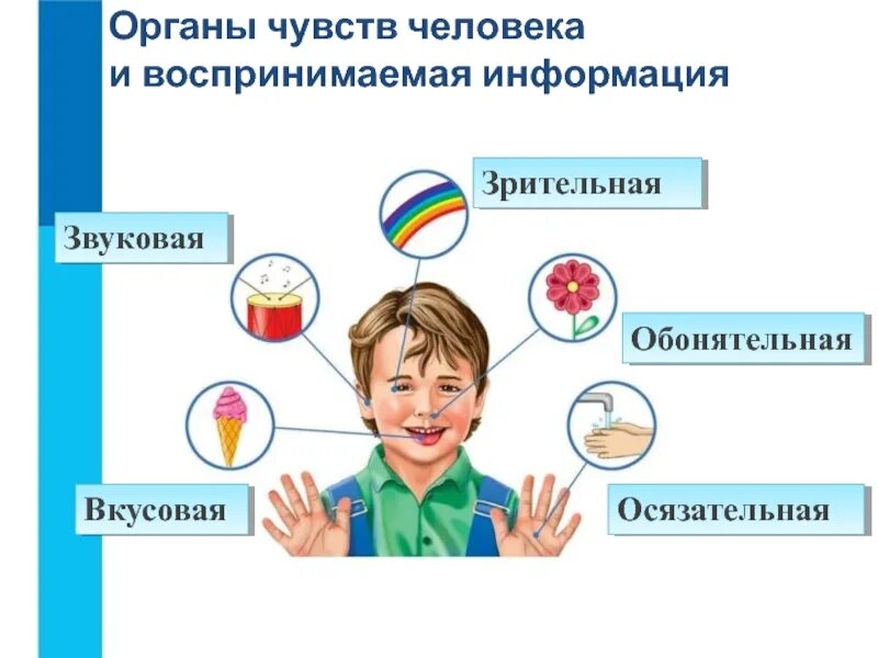 Виды информации игра