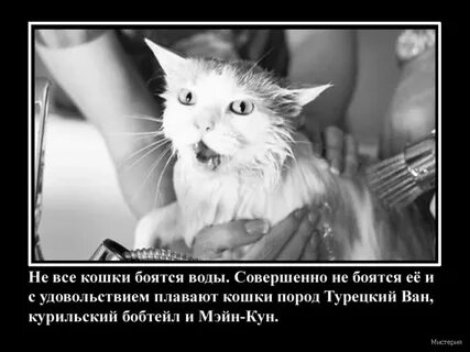 Немного интересней