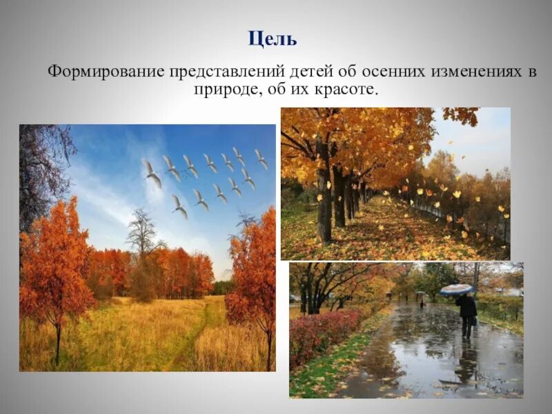 Действие происходит осенью. Осенние изменения в природе. Изменения в природе осенью. Осень изменения в природе для детей. Осенние изменения в живой природе.