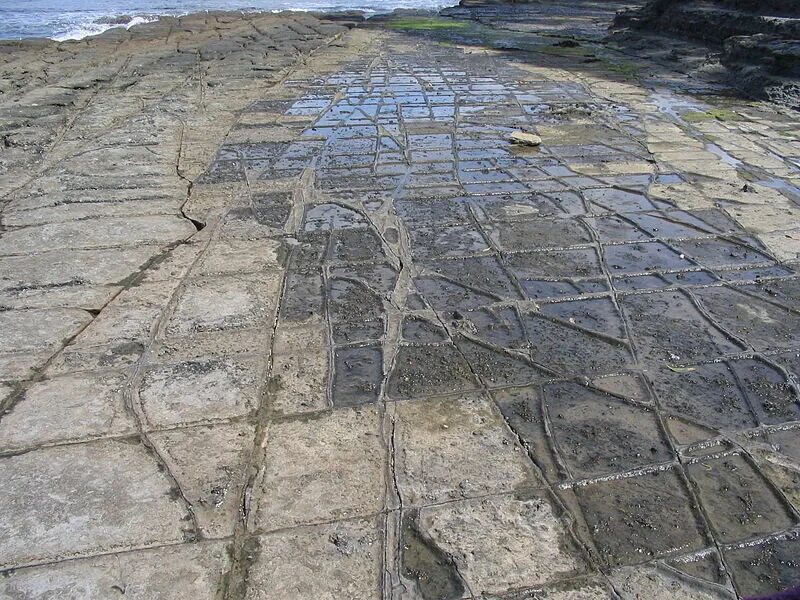 Форма трещины. Мозаичная Мостовая Тасмания. Мозаичная Мостовая" (Tessellated pavement), п-ов Тасмания. Иглхок-нек, Австралия. Tessellated pavement.