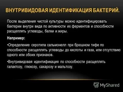 Идентификация бактерий по ферментативной активности