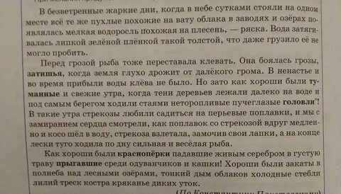 Справа над лесистыми холмами сияла не мигающая
