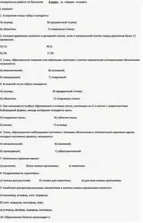 Контрольная работа по биологии 10 класс углеводы