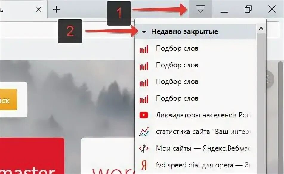 Как открыть закрытые вкладки в опере недавно. Опера недавно закрытые вкладки. недавно закрытые недавно закрытые. недавно закрытые сайты. список недавно закрытых вкладок.