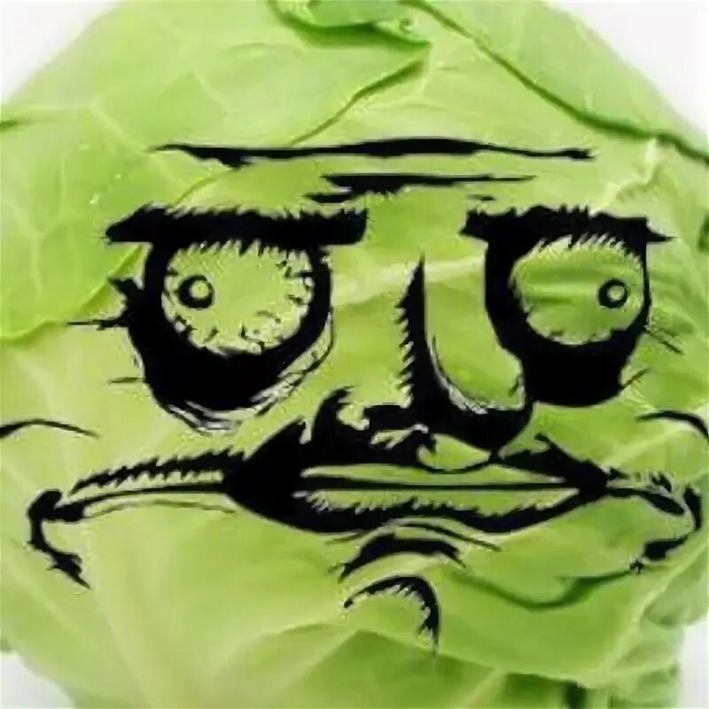 Капуста прикол. Капуста прикол. Капуста мем. Капуста прикол. Капуста ранняя.