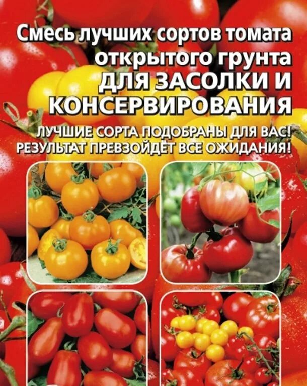 Какие сорта томатов посадить в сибири. Сорта томатов для консервирования. сорта помидор для засолки.