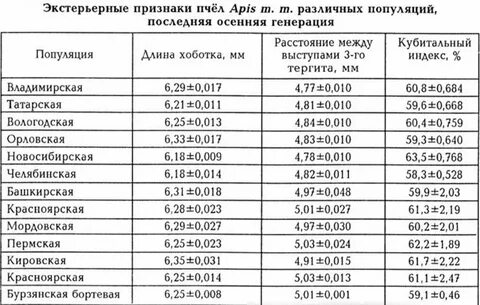 Пробиокс для пчел