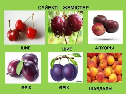 Жемістер мен