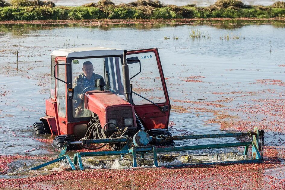 Водяной трактор. Трактор вода. Трактор капает. Трактор вода. Сельское хозяйство орошение.