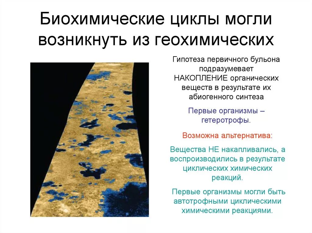 Жизнь возникла в первичном. Гипотеза первичного бульона. Все биохимические циклы. Первичный бульон в теории происхождения жизни на земле. Первые формы живых организмов в органическом бульоне.