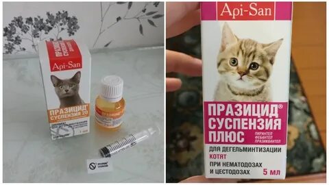 Празицид плюс для кошек
