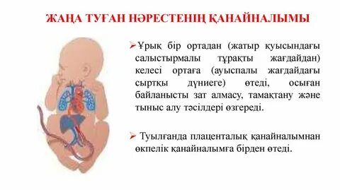 Автобуста шалбарым жыртылып қалды (порно)