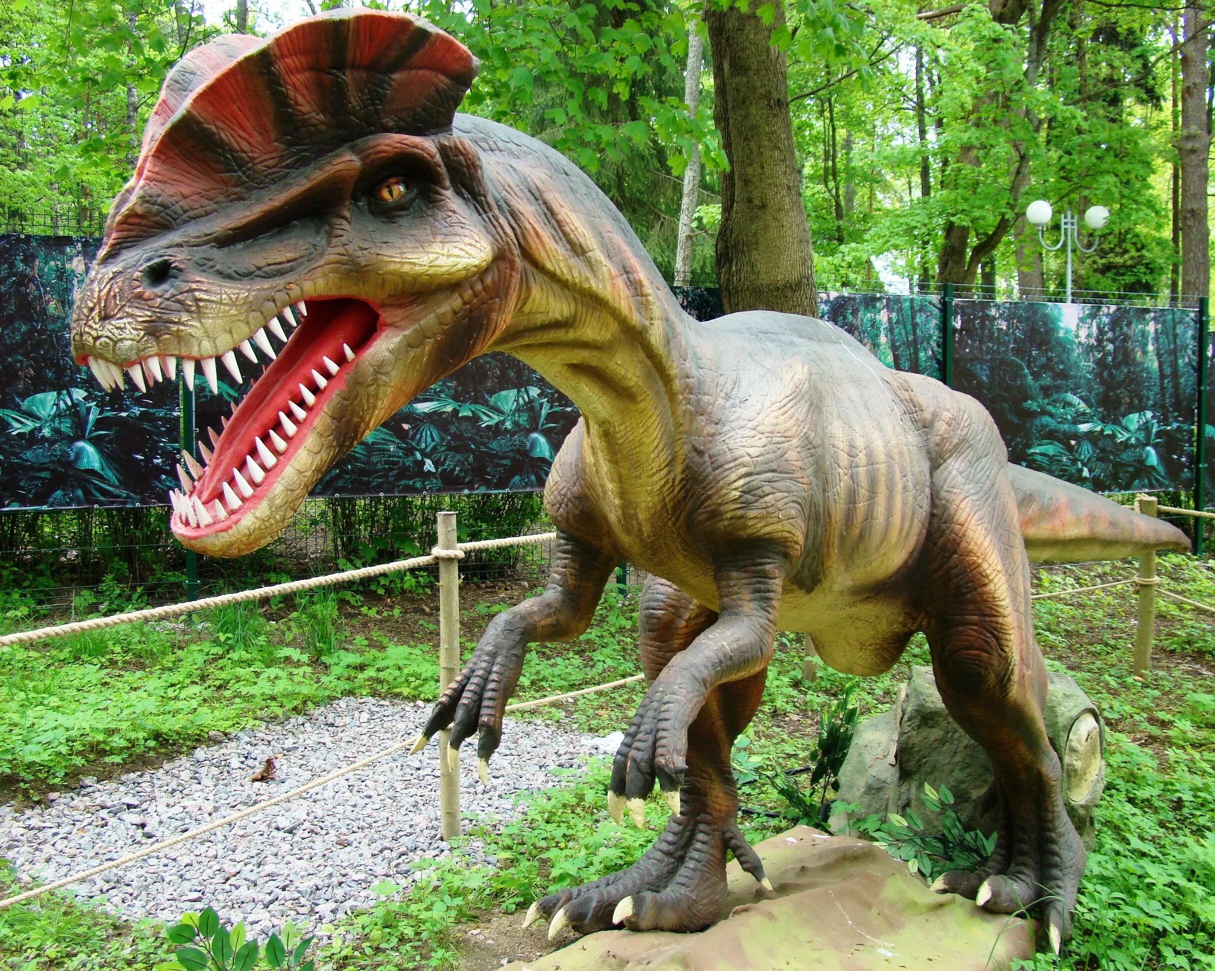 Парк про динозавров. Парк Дино (Dino Park). Динопарк парк Бабушкина. Динопарк Алушта. Парк динозавров в Зеленогорске.