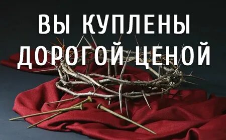 Вы куплены дорогой ценой