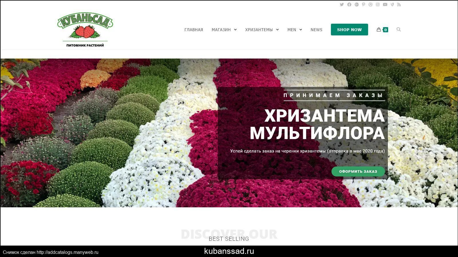 Каталог цветов спб. Каталог цветов спб