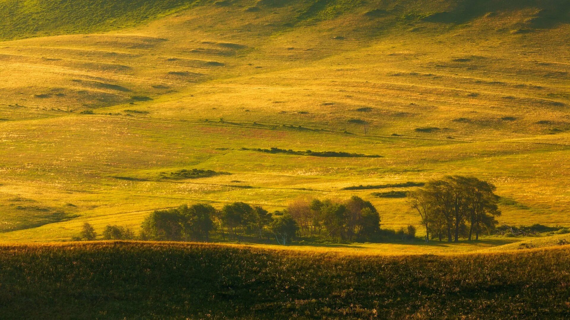 Природа Оренбургской степи. Степи Южного Урала. Степь Оренбургской области осенью. "Южный Урал степи" и лесостепи.