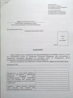 Как заполнить приложение 7 гражданство ребенку образец