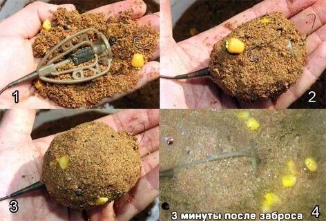 Приманка на карпа осенью