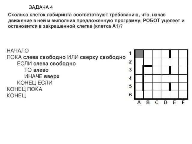 Сколько клеток входит