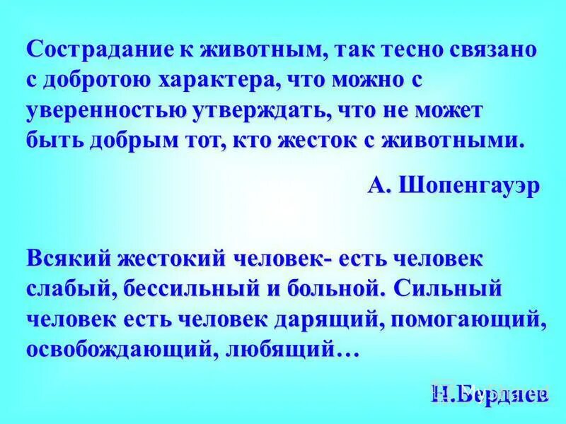 Ее добром характере в. Сострадание к животным так тесно. Сострадание к животным так тесно связано. Сострадание к животным так тесно связано с добротой. Сочинение на тему жалость к животным.