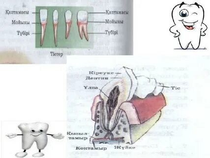 Желідегі жаратылыстармен порно