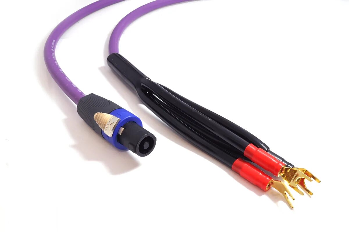 Тюльпаны на саб. Тюльпаны на саб. Тюльпаны на саб. Кабель rca lfe для сабвуфера. Rca-rca 5m recon.