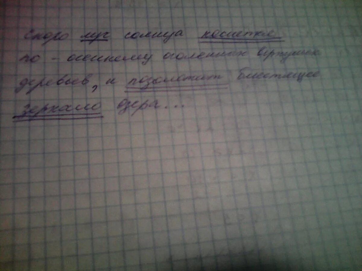 Анализ слова луч. Солнце синтаксический разбор. Синтаксический разбор предложения лучи. Верхушка деревьями осветила Луч солнца это предложение. Первые лучи солнца коснулись верхушек деревьев разбор предложения.