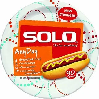 Amazon.com: Solo Any Day Paper Plates, 8.5 Inch, 360 Count : Health & H...