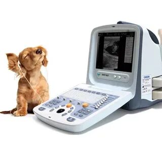   Veterinary Ultrasound Systems