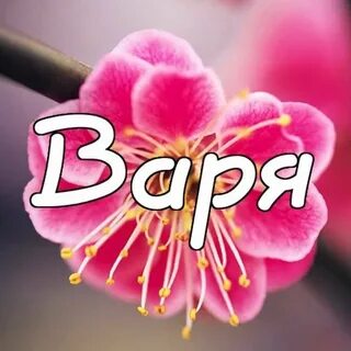 Варюша с днем рождения картинки