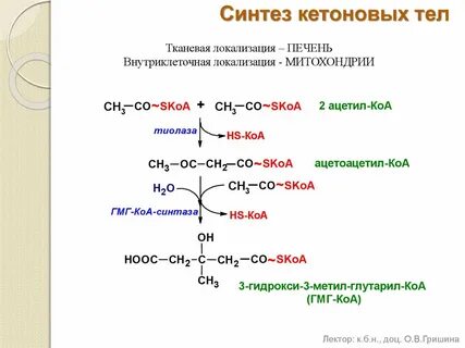 Окисление кетоновых тел