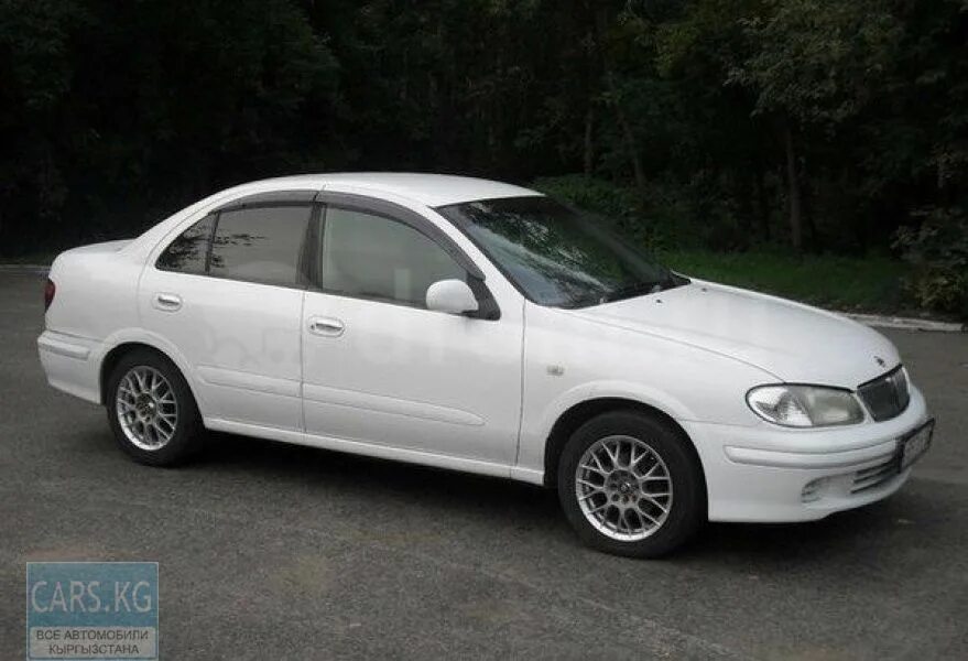 Bluebird 10. Nissan bluebird 2001. ниссан блюберд 2001 года. nissan bluebird sylphy. nissan bluebird 2000 белый.