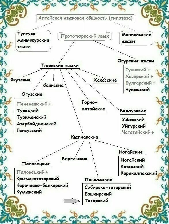 Проживание тюркской языковой группы на урале. Генеалогическое Древо тюркских народов. Тюркские народы схема. Алтайская языковая семья тюркская группа народы. Тюркская семья языков.