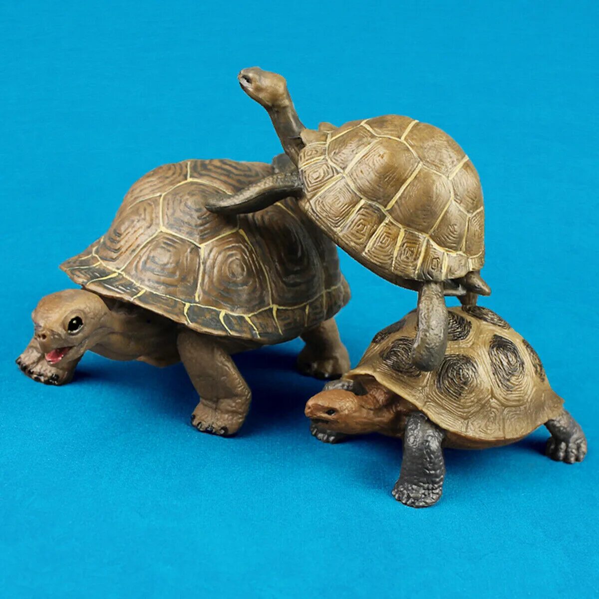 Набор черепахи. Сухопутная черепаха. Пластмассовые фигурки черепахи реалистичные. Комплект черепаха. Игрушечные Твердые черепахи.
