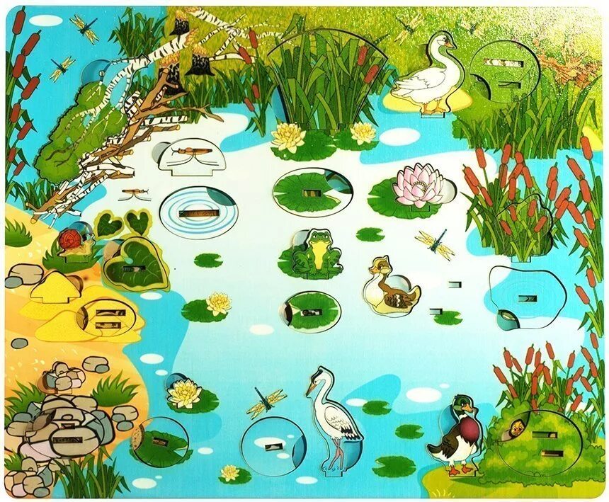 Экосистема водоема для дошкольников. Иллюстрации водоемов для детей. Болото рисунок для детей. Водоемы для детей в детском саду. Водоемы для дошкольников.