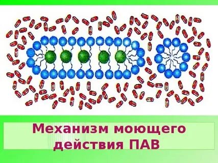 Пав мыло