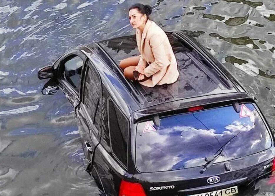 Дом для черепахи