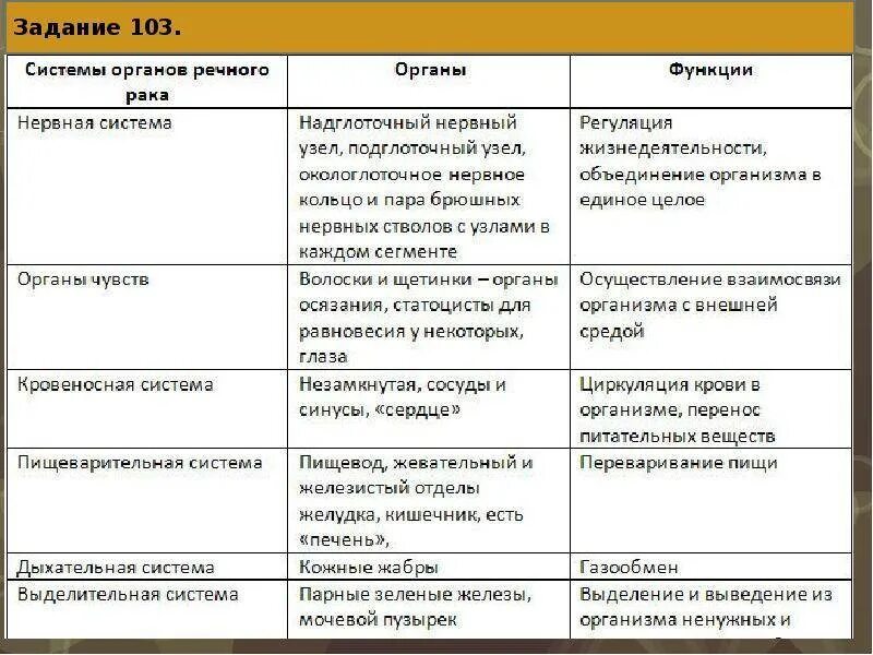 Внутренние системы органов рака и их функции. Система органов ракообразных таблица. таблица по биологии 7 класс ракообразные система органов. система органы функции таблица ракообразные. биология 7 класс таблица системы органов членистоногих.