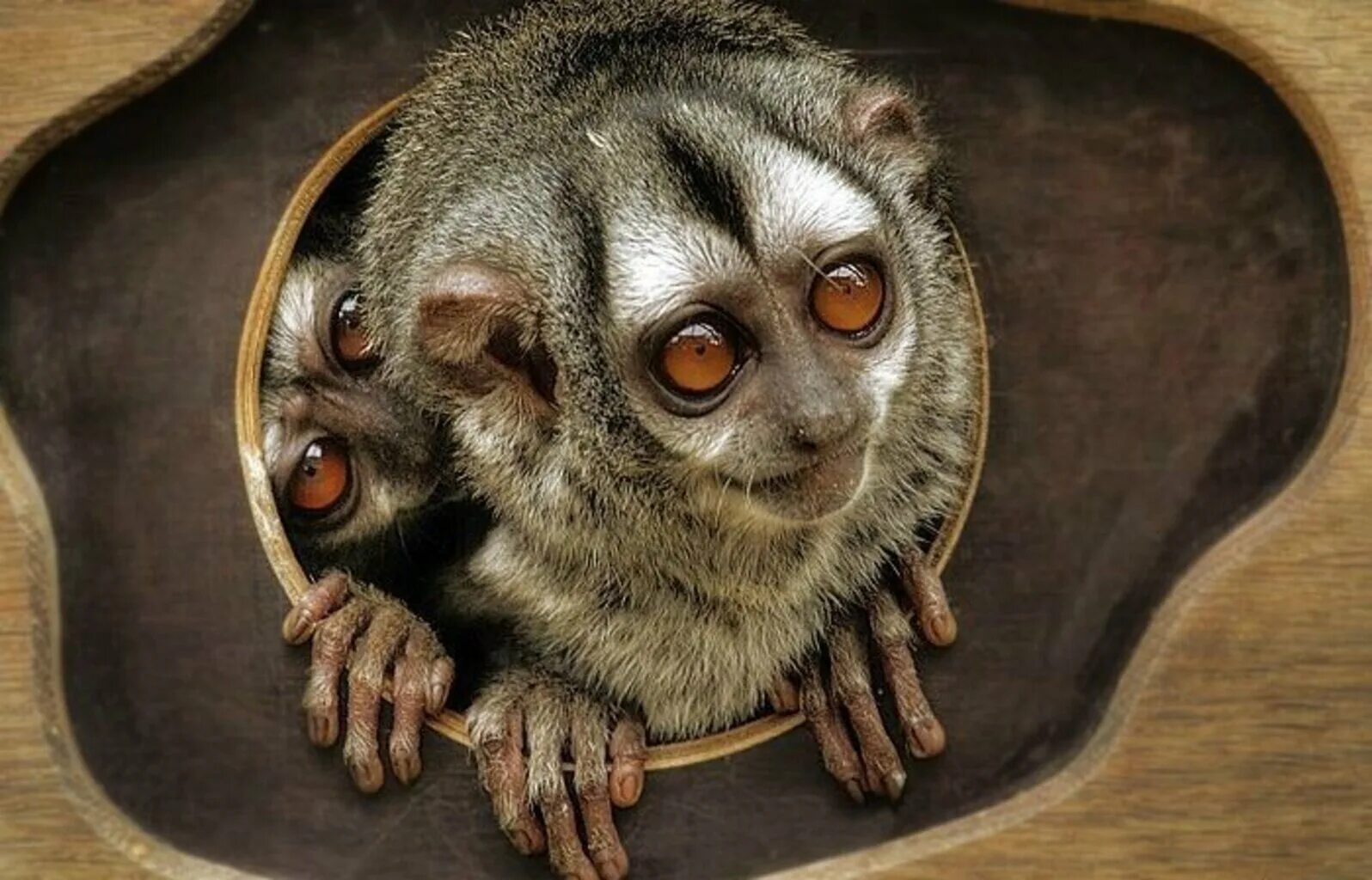 Какое нибудь веселое