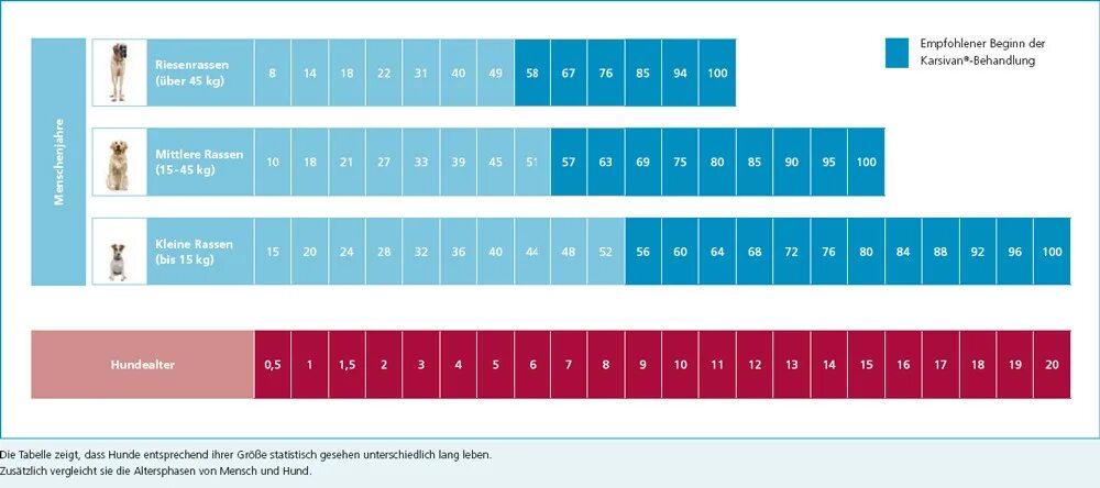 Собака по человеческому возрасту. Таблица возраста собак мелких пород. Возраст собаки по человеческим меркам таблица. Таблица возраста собак по человеческим меркам крупных пород. Собачий Возраст по человеческим таблица мелких пород.