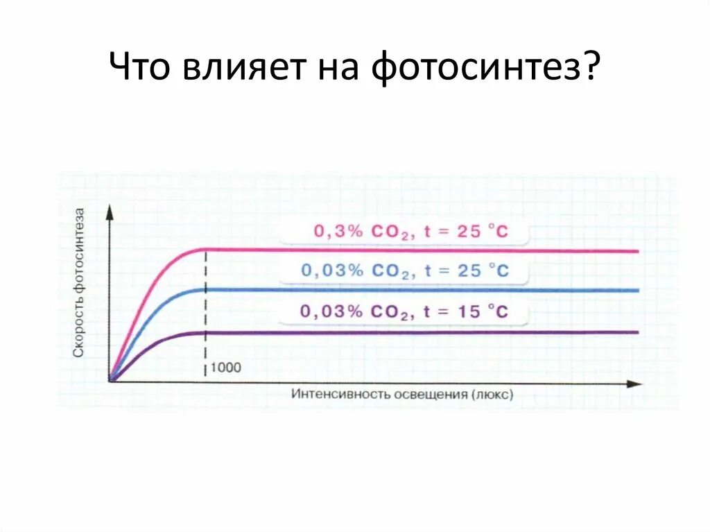 Фотосинтез длина волны. Суточный ход фотосинтеза. График зависимости фотосинтеза от освещенности. Максимальная интенсивность фотосинтеза. Как изменится интенсивность дыхания и интенсивность фотосинтеза